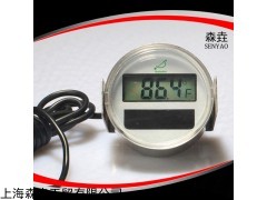 太阳能温度计DST2003S
