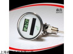 太阳能温度计DSTA300