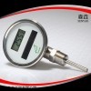 太陽能溫度計DSTI300