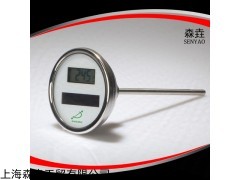 太阳能温度计 DSTT300