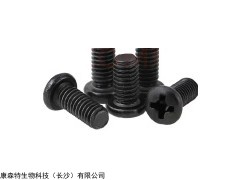 腦部固定螺絲