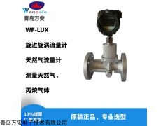 LUX-50 旋進旋渦天然氣流量計