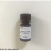 JY06011 DAPI染色液（即用型） 细胞核染料 江苑生物