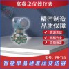 智能单晶硅差压变送器FR-703