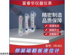 FR-601 侧装磁翻板液位计