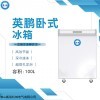 BC-100WS 英鹏100升冰箱-小型商用冷藏冷冻单温冷柜