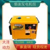 3kw柴油發電機電啟動移動方便