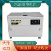 30kw汽油发电机全自动启动快捷