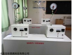 DP-Y009 饱和蒸汽P-T关系实验仪