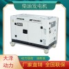 12kw柴油发电机电启停耗油量低