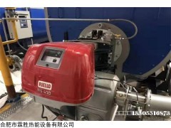 RS410 利雅路超低氮燃烧器维修保养