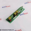 PLC控制系统DS200SHVMG1ACC继电器输入模块