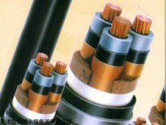 YJV3*70mm2聚乙烯缘高压交联电缆热销