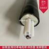 华阳气体分析仪伴热管线BWG-F8-220V-40-80cems采样复合管