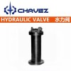 进口活塞式水锤吸纳器