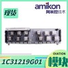 1C31113G04 模拟输入电子模块