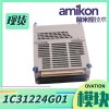 1C31132G01 模拟量输出个性模块