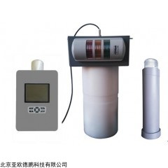 DP-ZZ 区域中子&伽马连续监测仪/中子测量仪/辐射检测仪