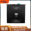 Tricon系統7400210-010