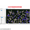 QNMZ-A 大米外觀(guān)品質(zhì)分析儀-農(nóng)林專(zhuān)用儀器-山東齊農(nóng)