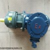 EXCH32 免加油防爆齒輪減速電機(jī)