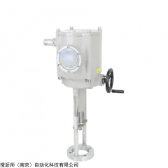 2SB6013 SURPASS直行程電動執(zhí)行器