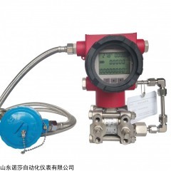 DMP9051 多参量流量变送器