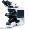 BX53P 奧林巴斯專業(yè)偏光顯微鏡BX53P