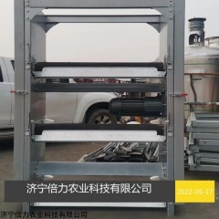 鸽场自动清粪机