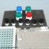 人ABAb Kit 说明书