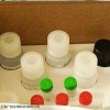 人HLAMP-2 Kit 说明书