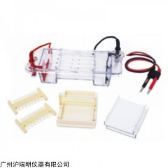 核酸凝膠蛋白電泳儀 LF-31DS水平瓊脂糖電泳槽