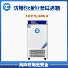 YP-P150EX(GL) 崇左无尘车间英鹏防爆恒温恒湿试验箱 YP-P150EX(GL)