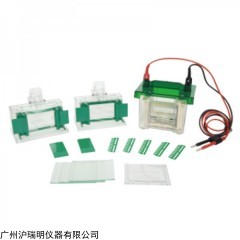 蛋白凝膠電泳分析儀 LF-Mini3小型垂直電泳槽