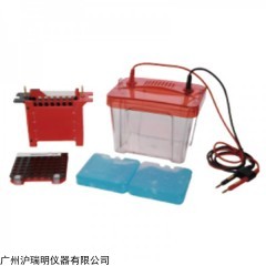 LF-ZY03小型轉(zhuǎn)印電泳槽 高質(zhì)量蛋白凝膠電泳儀