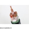 WDZ-YJ(F)E輻照交聯(lián)電力電纜 天行廠家品質(zhì)可靠