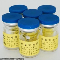 肋生鹽弧菌肋生亞種