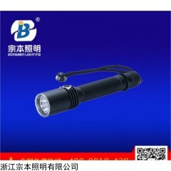 BGH2603 防爆強光充電手電