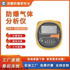 YPMS104K-S 英鹏防爆气体分析仪便携报警检测仪