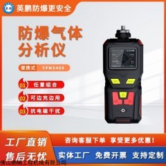 YPMS400 英鹏防爆气体分析仪可燃气体探测仪