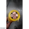 myq矿用移软电缆