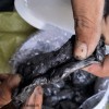 注射式泥状填料安装便捷