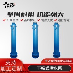 250QJX80-300/10 高扬程下吸式潜水泵 变频电动底吸泵
