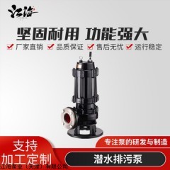 300WQ650-5-18.5 应急排水潜水泵 雨水泵站潜污泵
