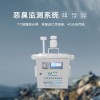 大气环境空气质量恶臭气体监测分析仪