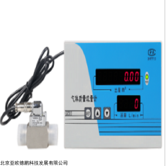 DP18206-200 气体质量流量计