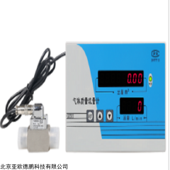 DP18206-200 气体质量流量计