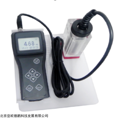 DP18055 微克便携式溶氧分析仪