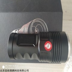 DP17806 脱脂清洗黑光灯 紫光灯