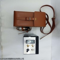 DP17793 气体自动负压采样器